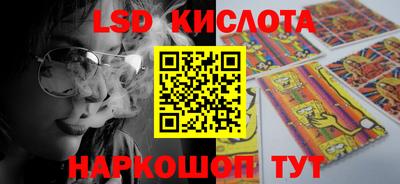 a pvp Кингисепп