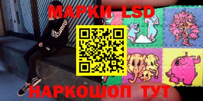 a pvp Кингисепп