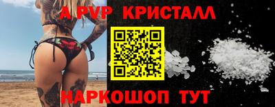 a pvp Кингисепп
