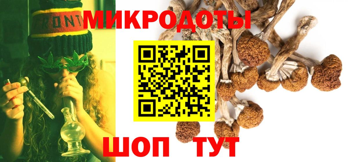 Псилоцибиновые грибы Psilocybe Ялуторовск