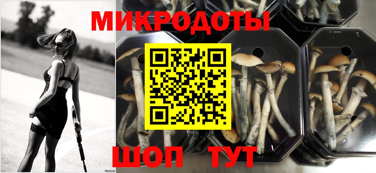 Псилоцибиновые грибы мицелий  что такое   Ялуторовск  Вход с VPN 